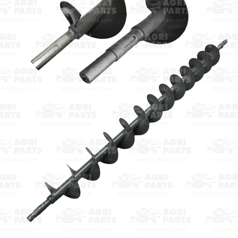 6428802 - COCLEA GRANELLA - 0006428802CL