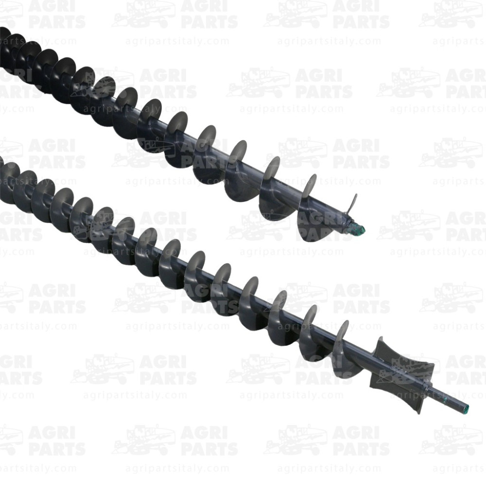 7554413 - LEERKORN-SCHNECKE - 0007554413CL