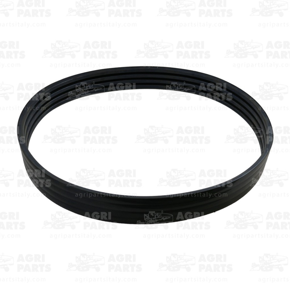 5543611 - RIEMEN - 0005543611CL