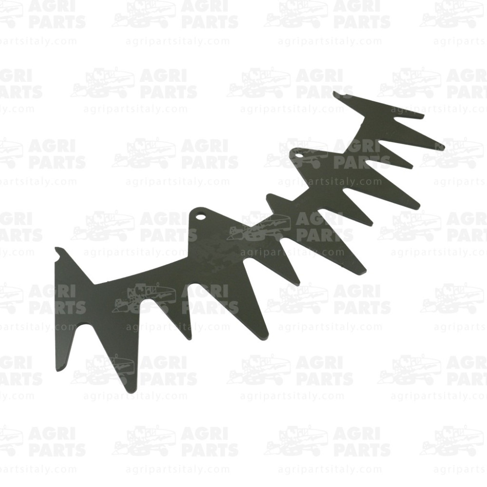 13108080 - SEGMENT - 0013108080CL