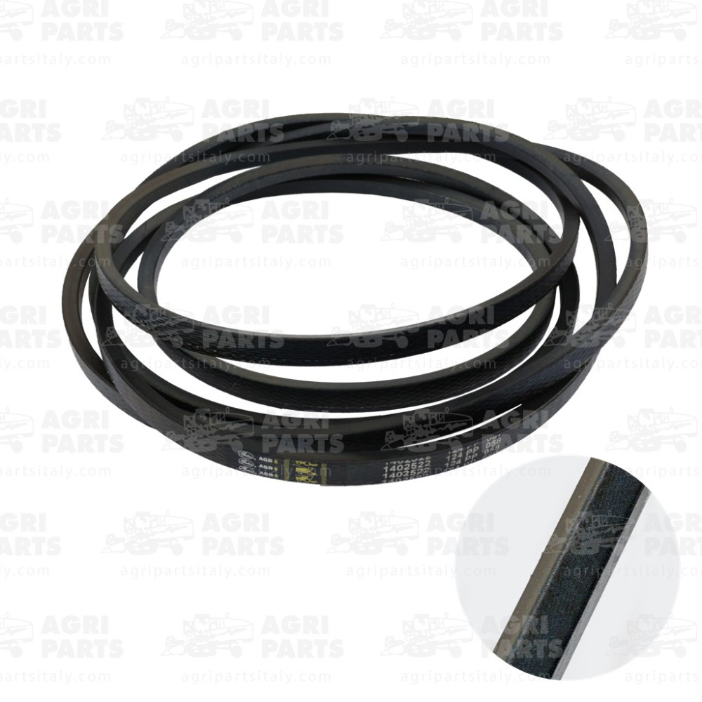 21AP016352 - CINGHIA - 21AP016352