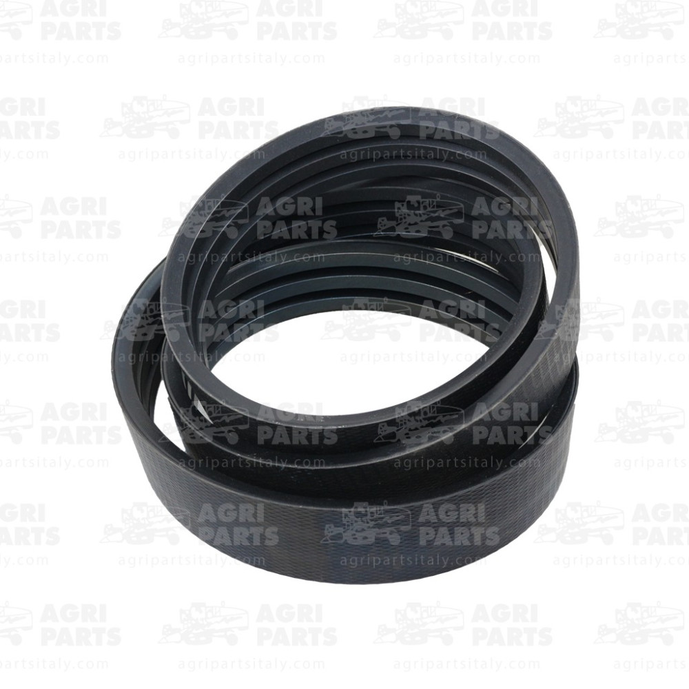 H240974 - RIEMEN - H240974JD