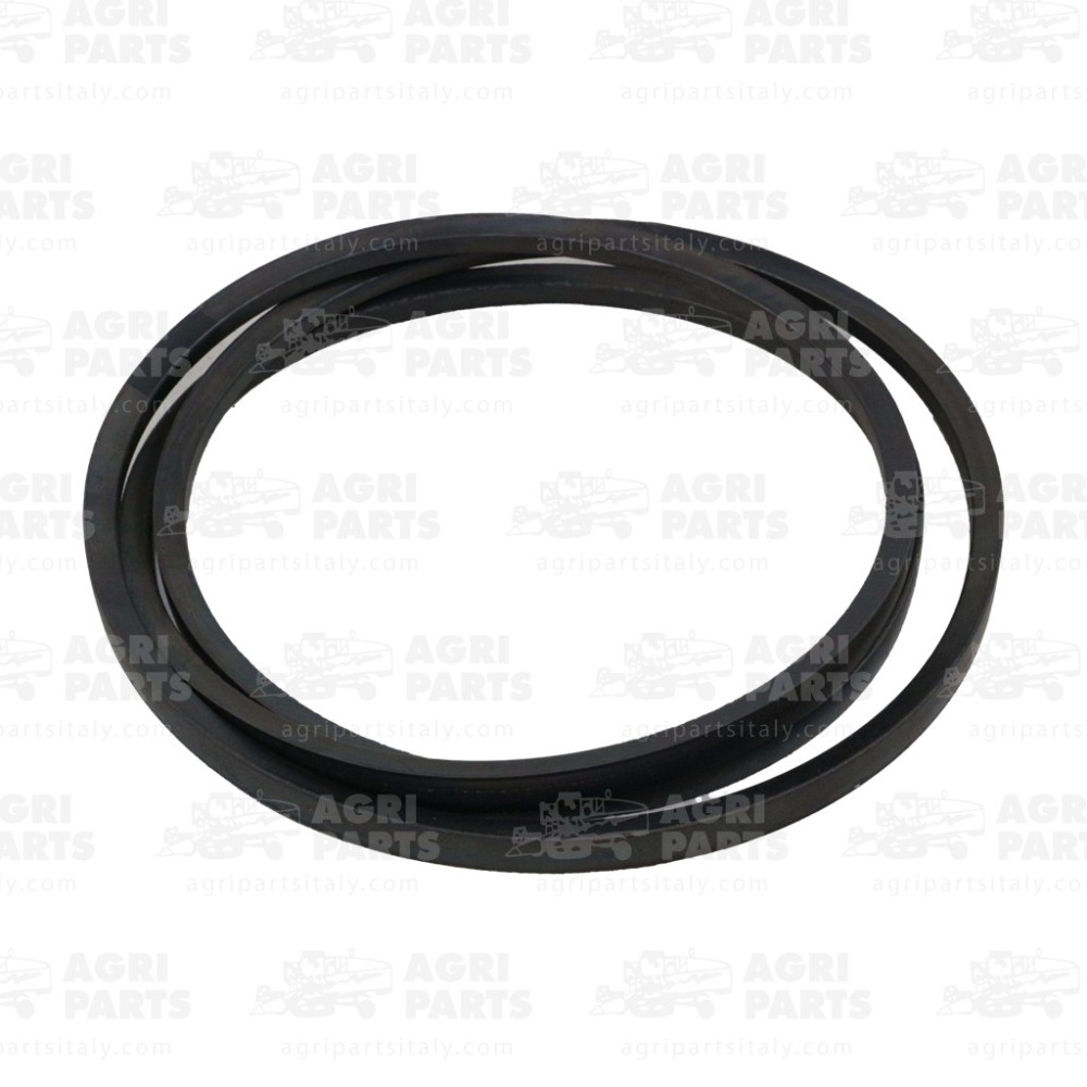 21AP016501 - CINGHIA MULTIPLA - 21AP016501