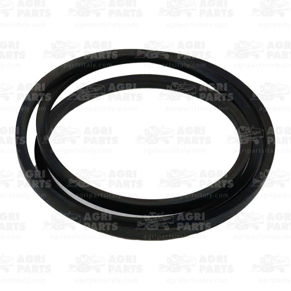 21AP016506 - CINGHIA - 21AP016506