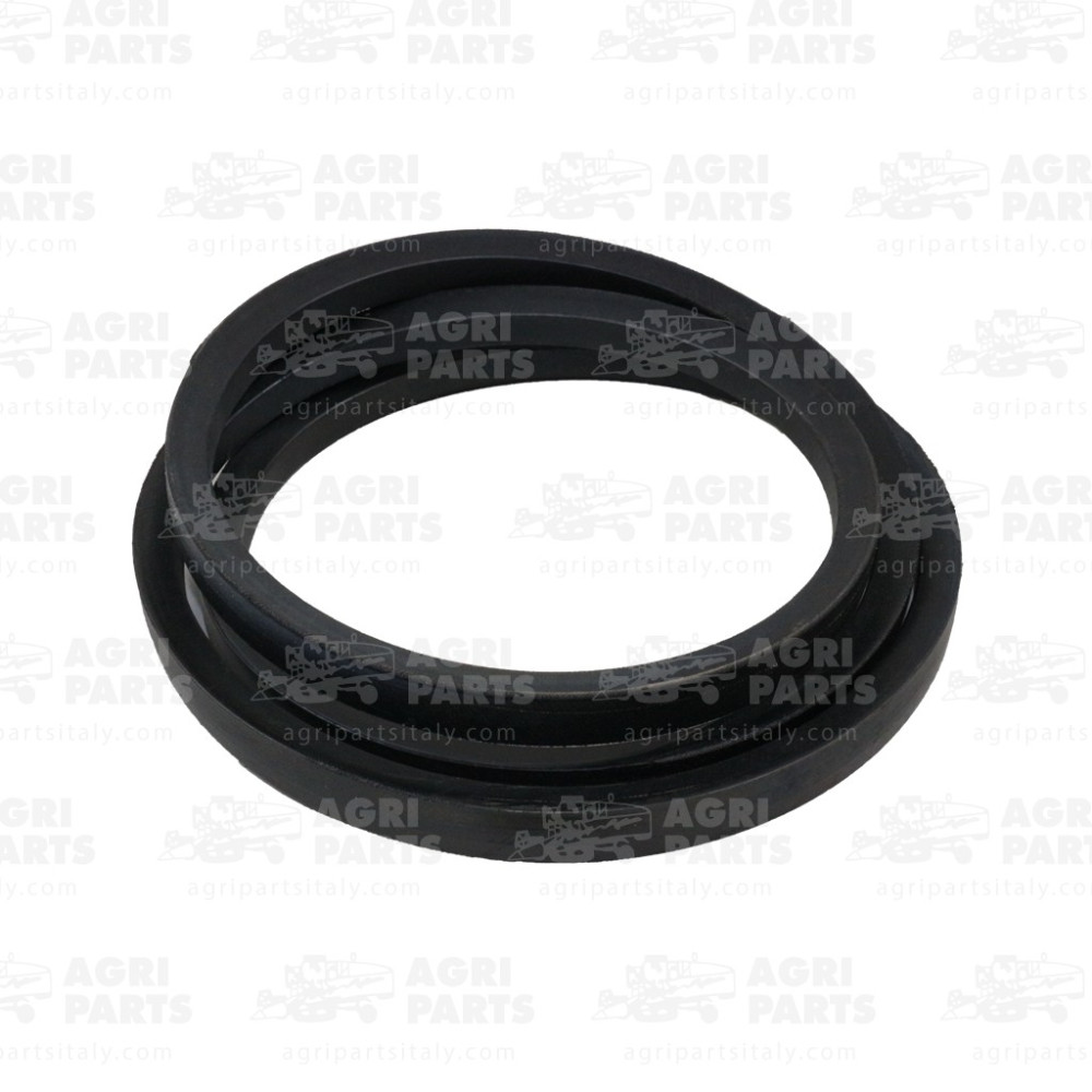 21AP016507 - CINGHIA - 21AP016507