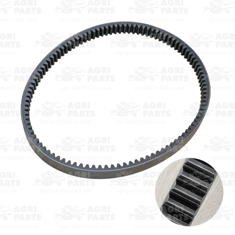 21AP016511 - CINGHIA - 21AP016511