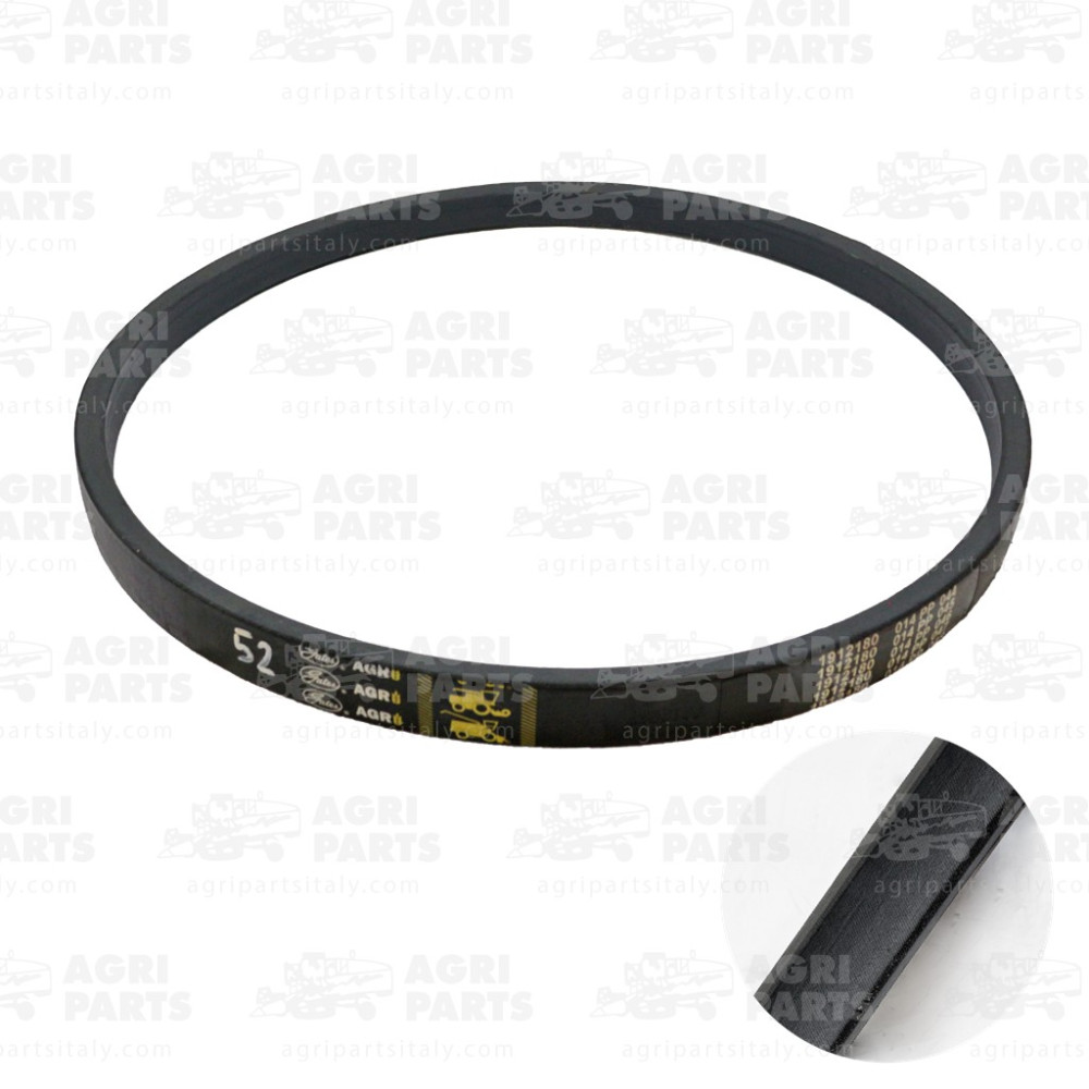 22AP016727 - CINGHIA - 22AP016727