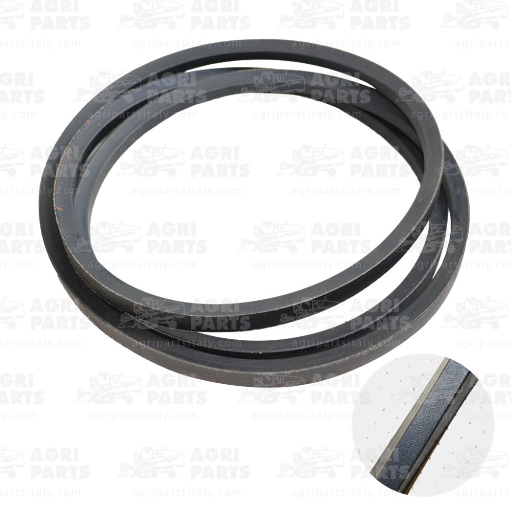 1146013 - CINGHIA - 01146013DF