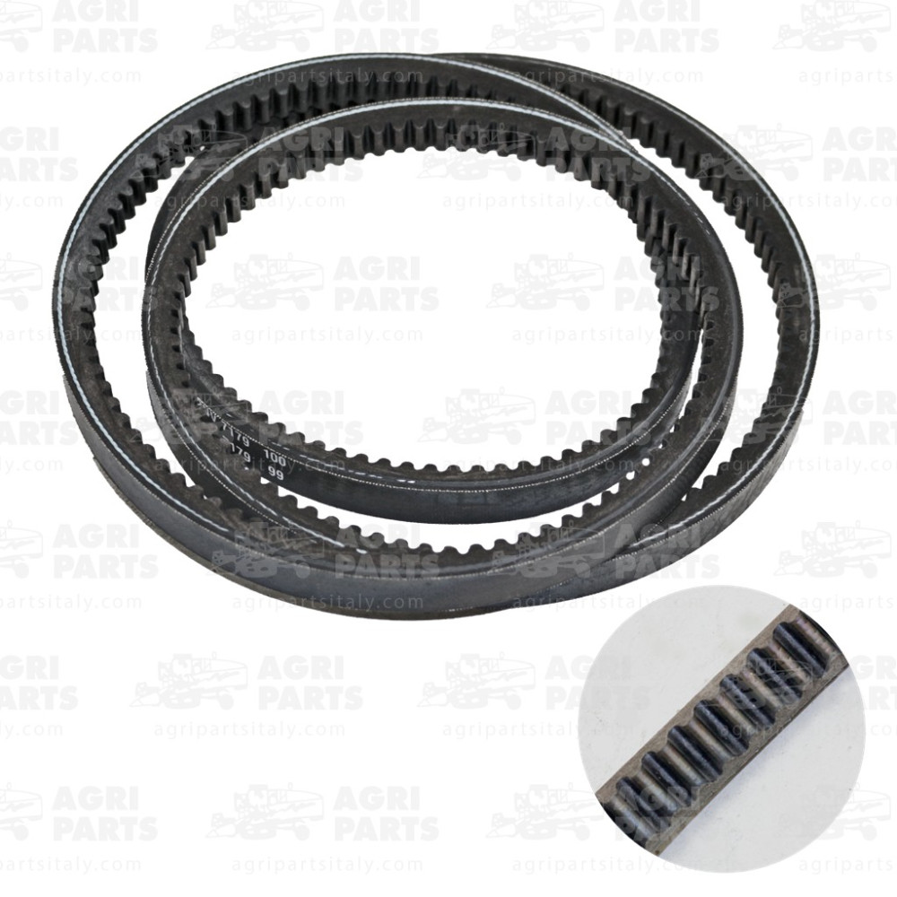 23AP017307 - CINGHIA - 23AP017307