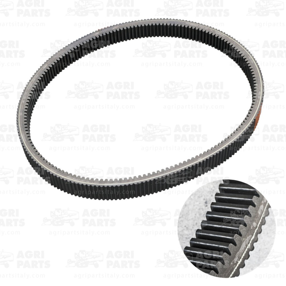 23AP017628 - CINGHIA MULTIPLA - 23AP017628