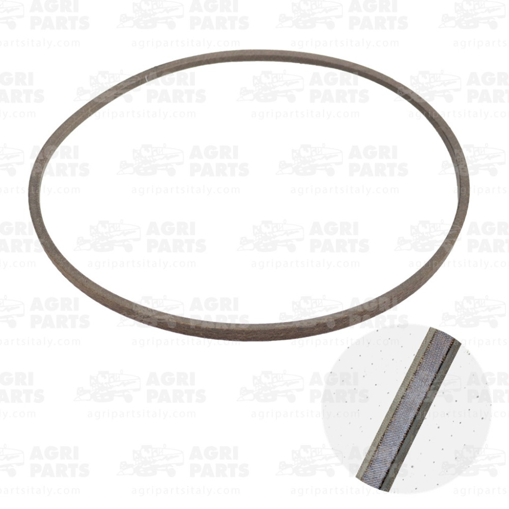 6652940 - COURROIE - 0006652940CL