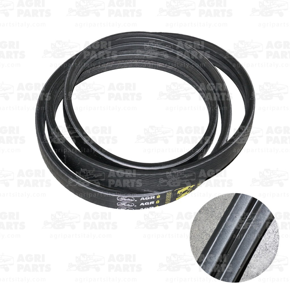 18073220 - CINGHIA - 0018073220CL