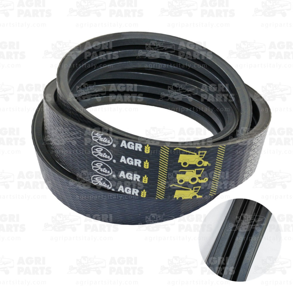 18072110 - CINGHIA - 0018072110CL