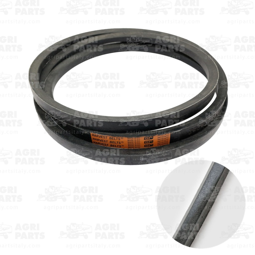 340433283 - COURROIE - LA340433283AG