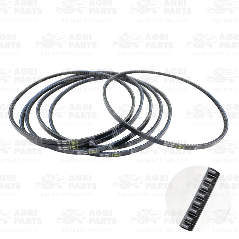 24AP018146 - CINGHIA - KIT 6 - 24AP018146