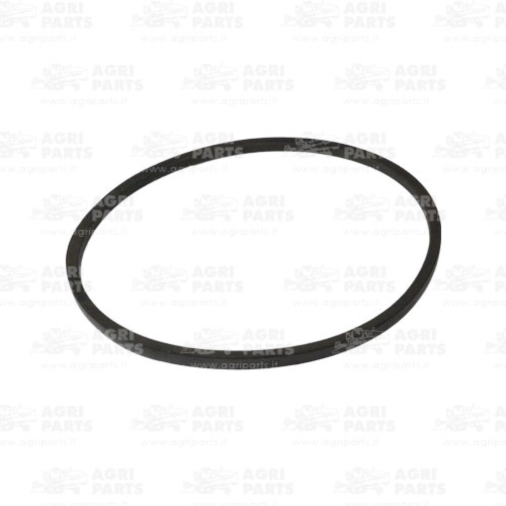 17AP000444 - BELT - 17AP000444