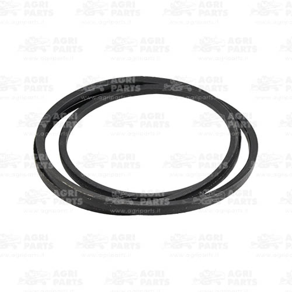 17AP000446 - CINGHIA - 17AP000446