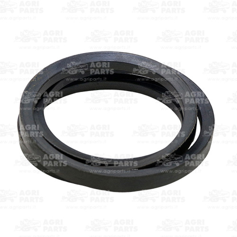 1979606C1 - BELT - 1979606C1CNH