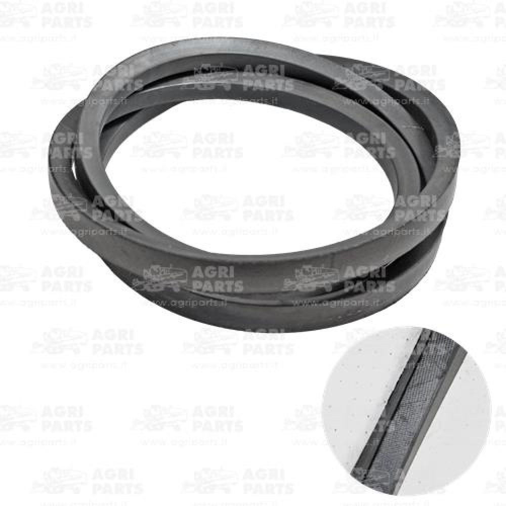 17AP000456 - RIEMEN - 17AP000456