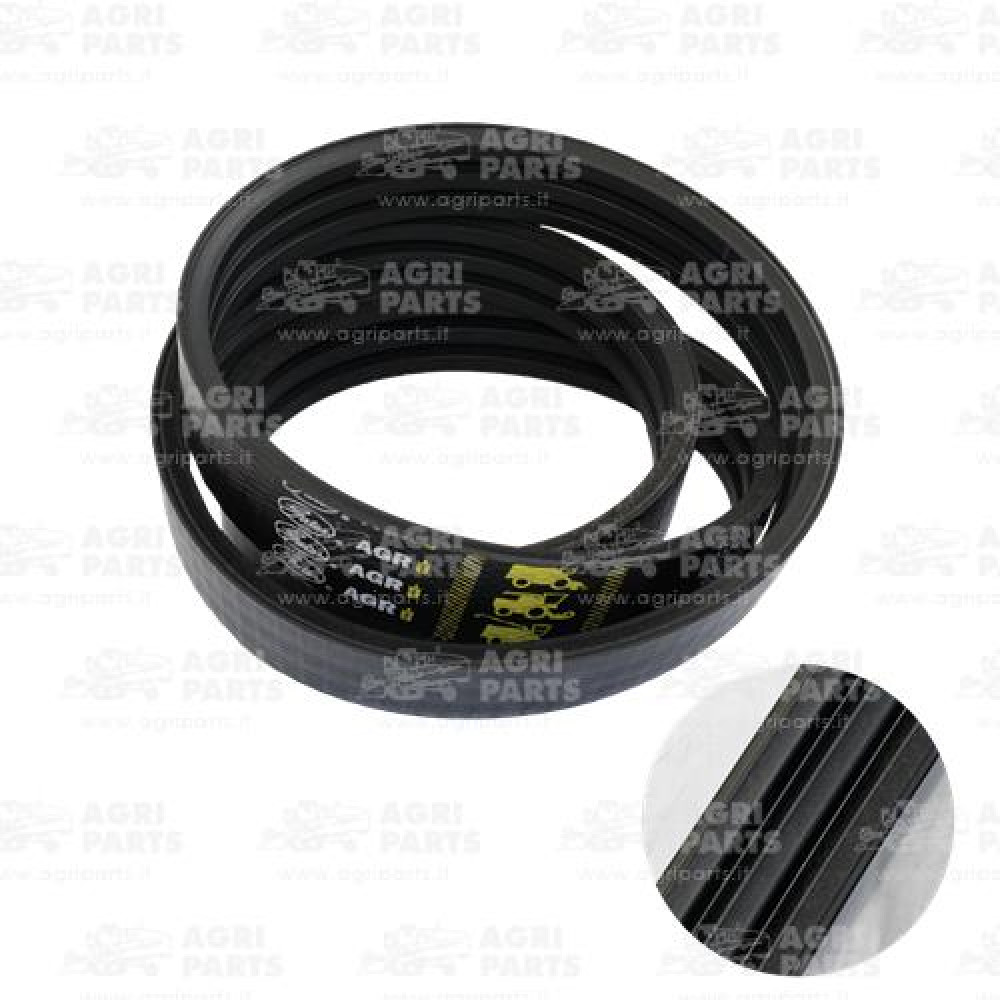 17AP000467 - CINGHIA - 17AP000467