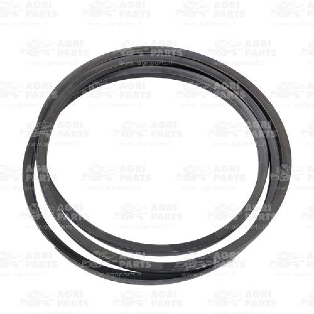 17AP000478 - CINGHIA - 17AP000478