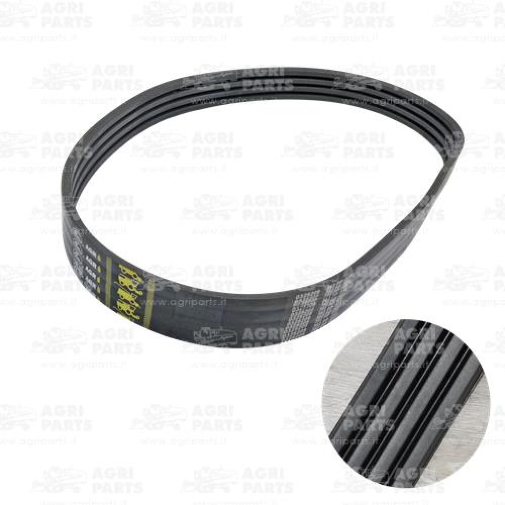 17AP000488 - CINGHIA - 17AP000488