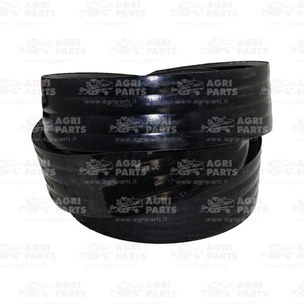 17AP000489 - CINGHIA - 17AP000489