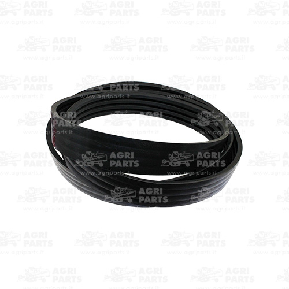 17AP000493 - RIEMEN - 17AP000493