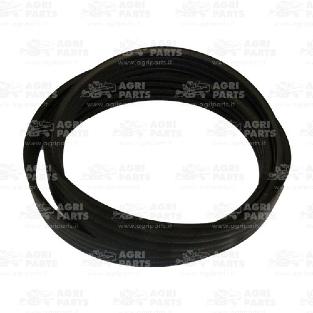 17AP000494 - CINGHIA - 17AP000494