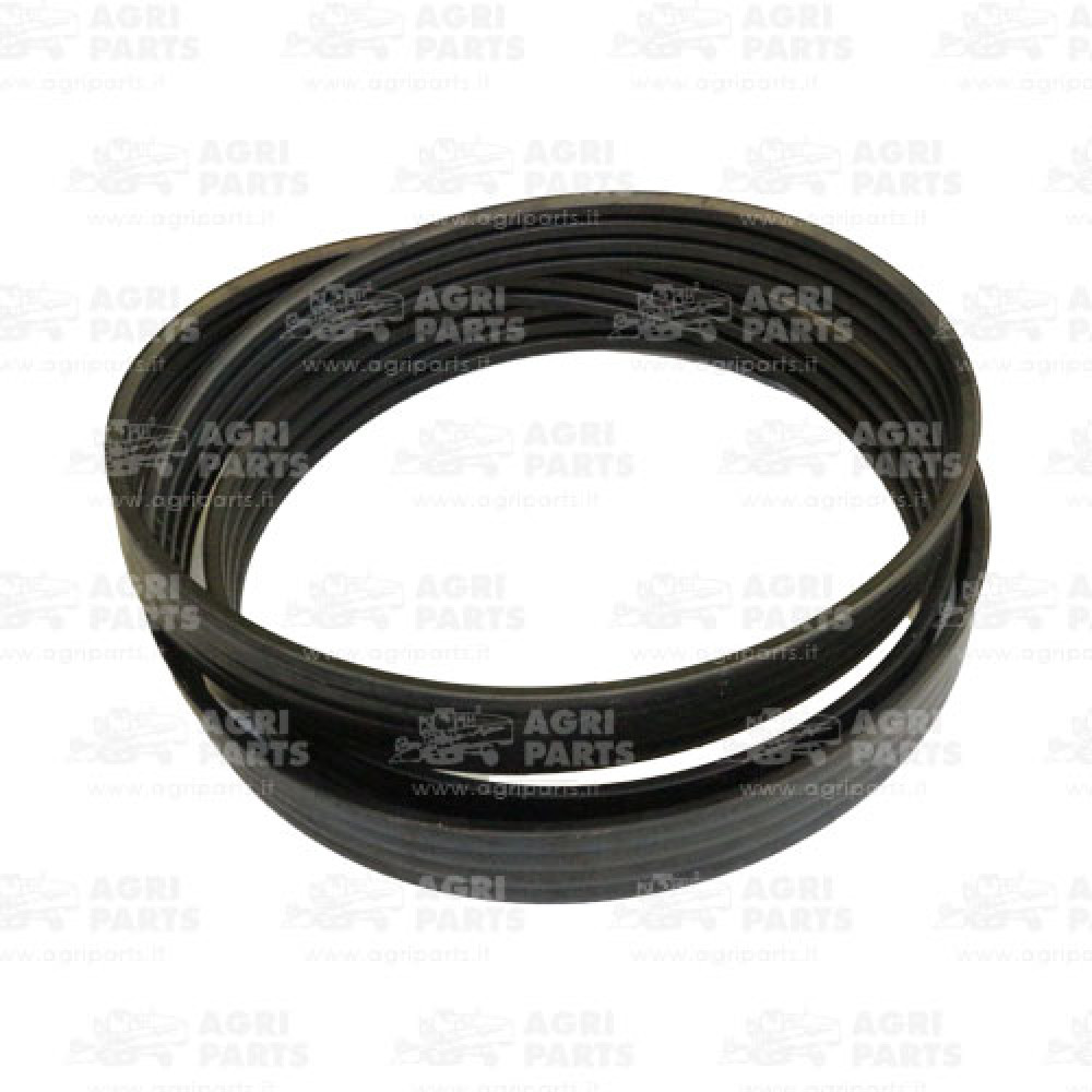 17AP000496 - BELT - 17AP000496