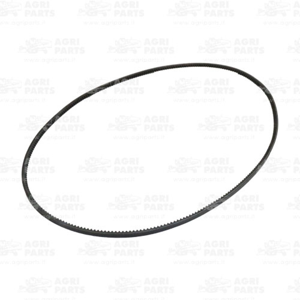 17AP000501 - BELT - 17AP000501