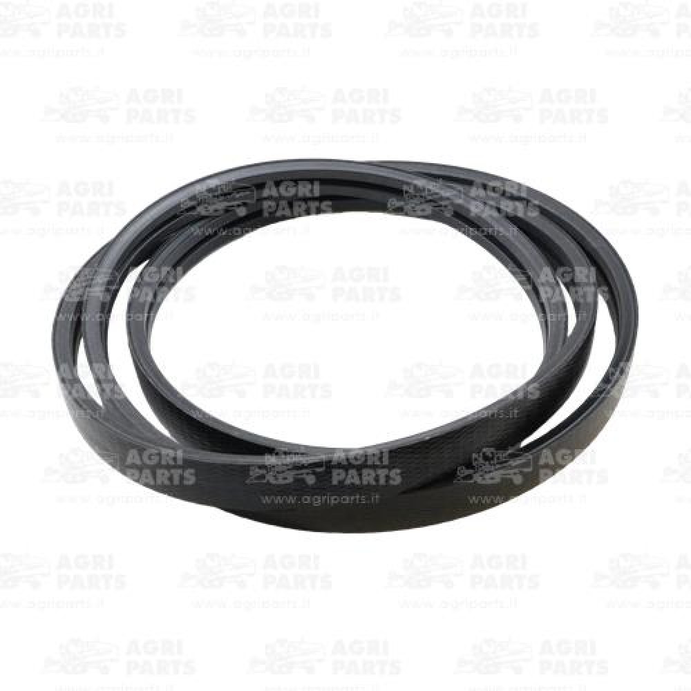 17AP000505 - CINGHIA 2HB - 17AP000505