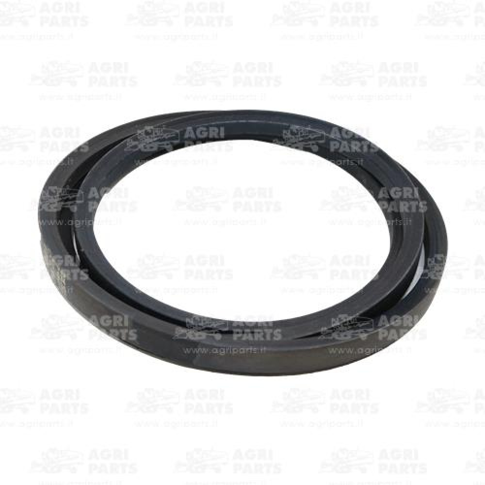 17AP000508 - BELT - 17AP000508