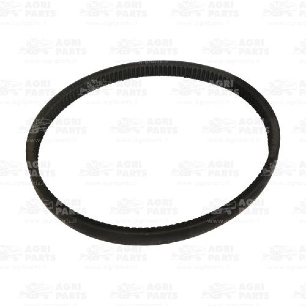 17AP000509 - BELT - 17AP000509