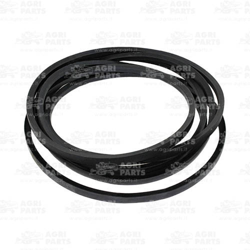 17AP000519 - BELT - 17AP000519