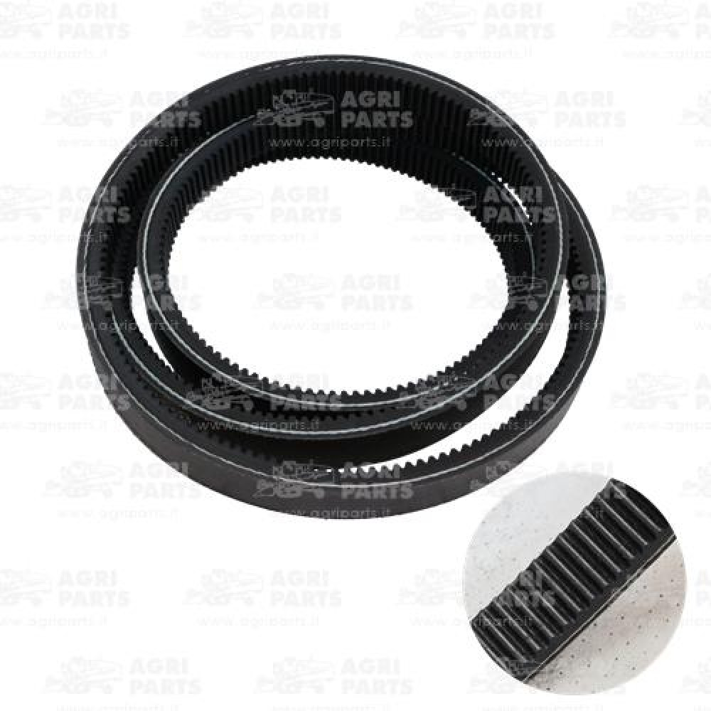 17AP000524 - CINGHIA MULTIPLA - 17AP000524