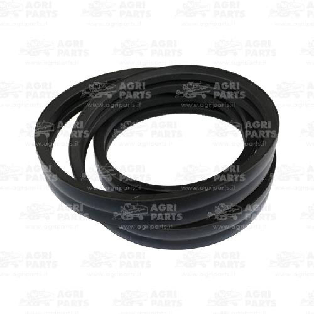 17AP000525 - RIEMEN - 17AP000525