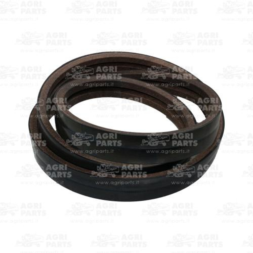 17AP000528 - RIEMEN - 17AP000528