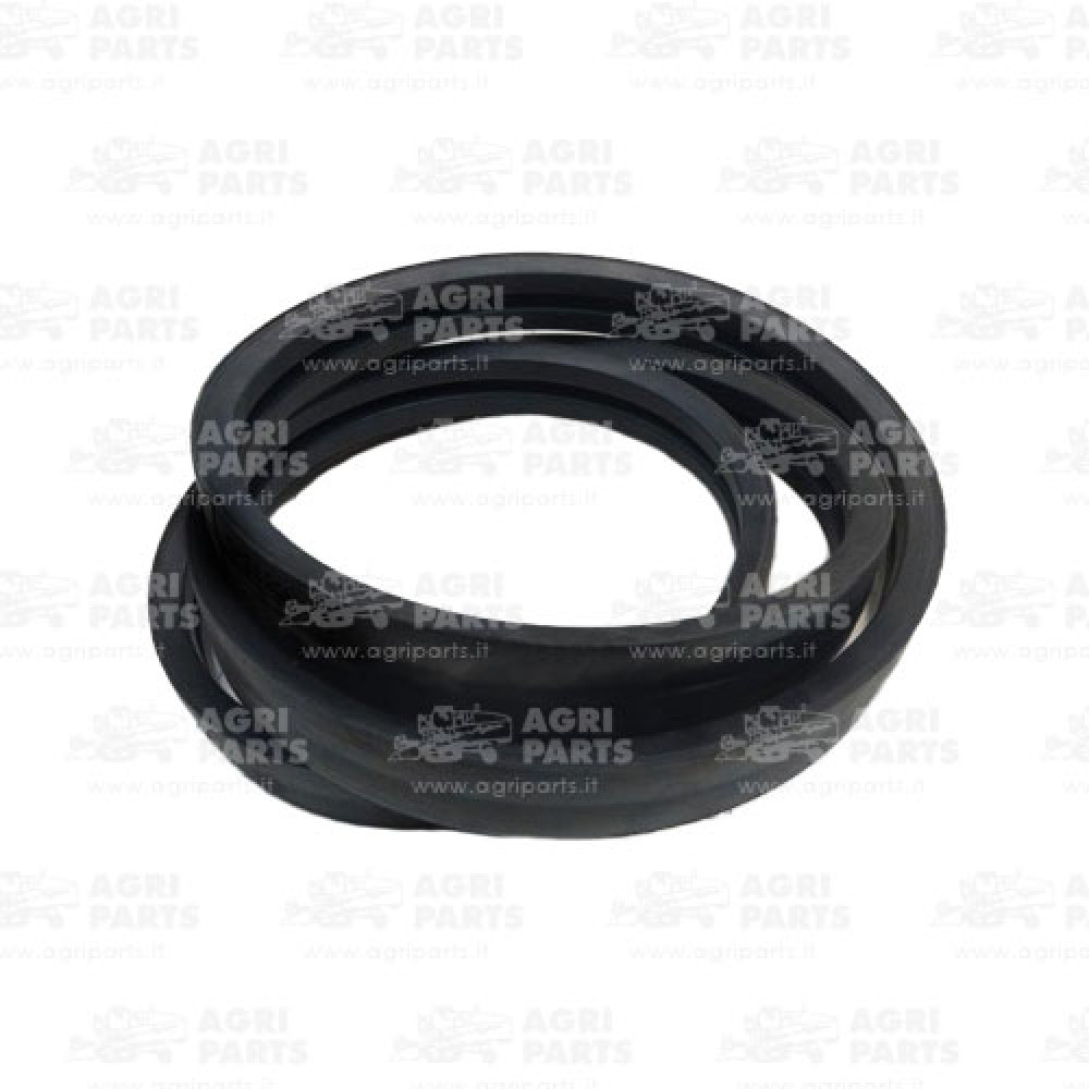 17AP000529 - CINGHIA MULTIPLA - 17AP000529