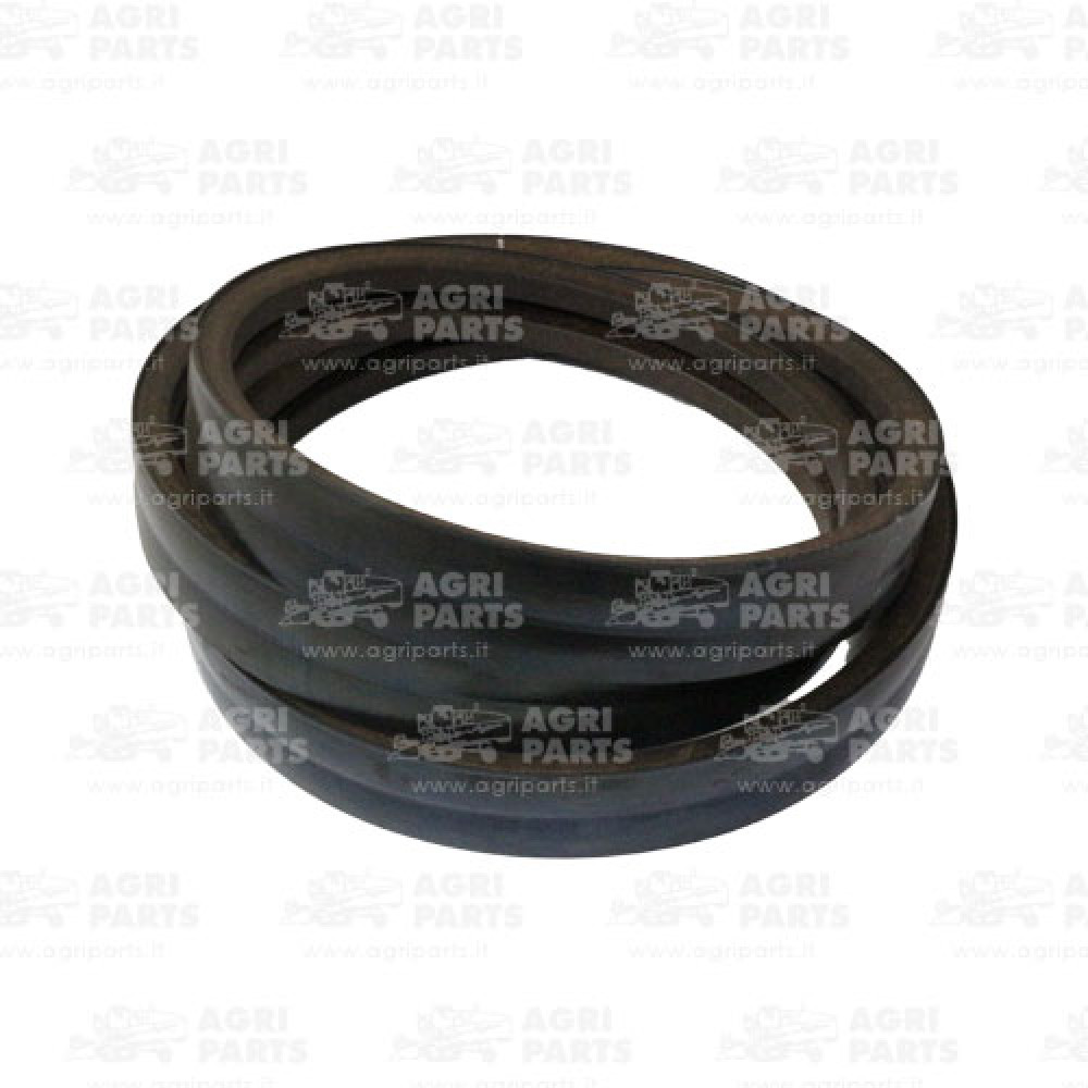 17AP000531 - CINGHIA - 17AP000531