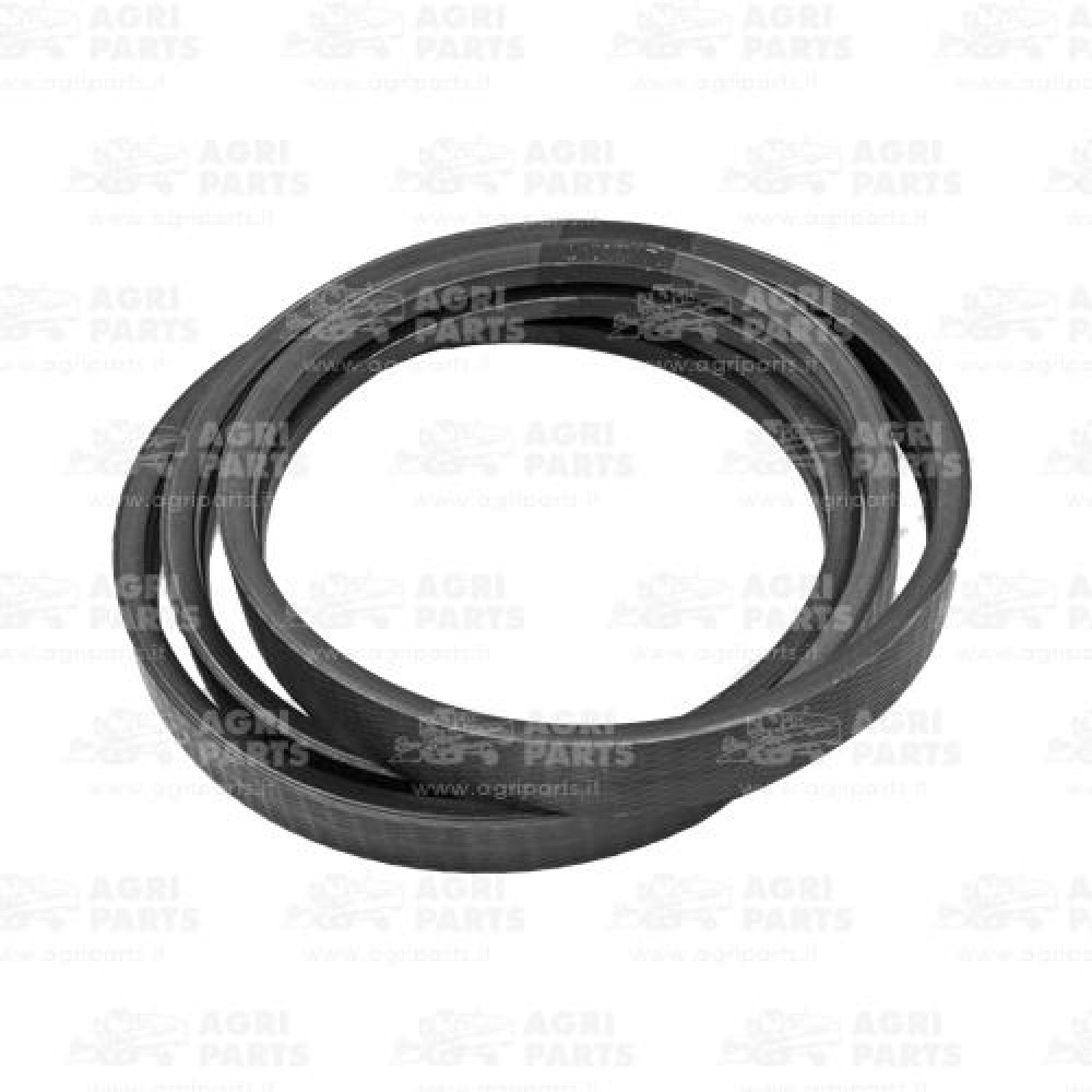 17AP000532 - CINGHIA - 17AP000532