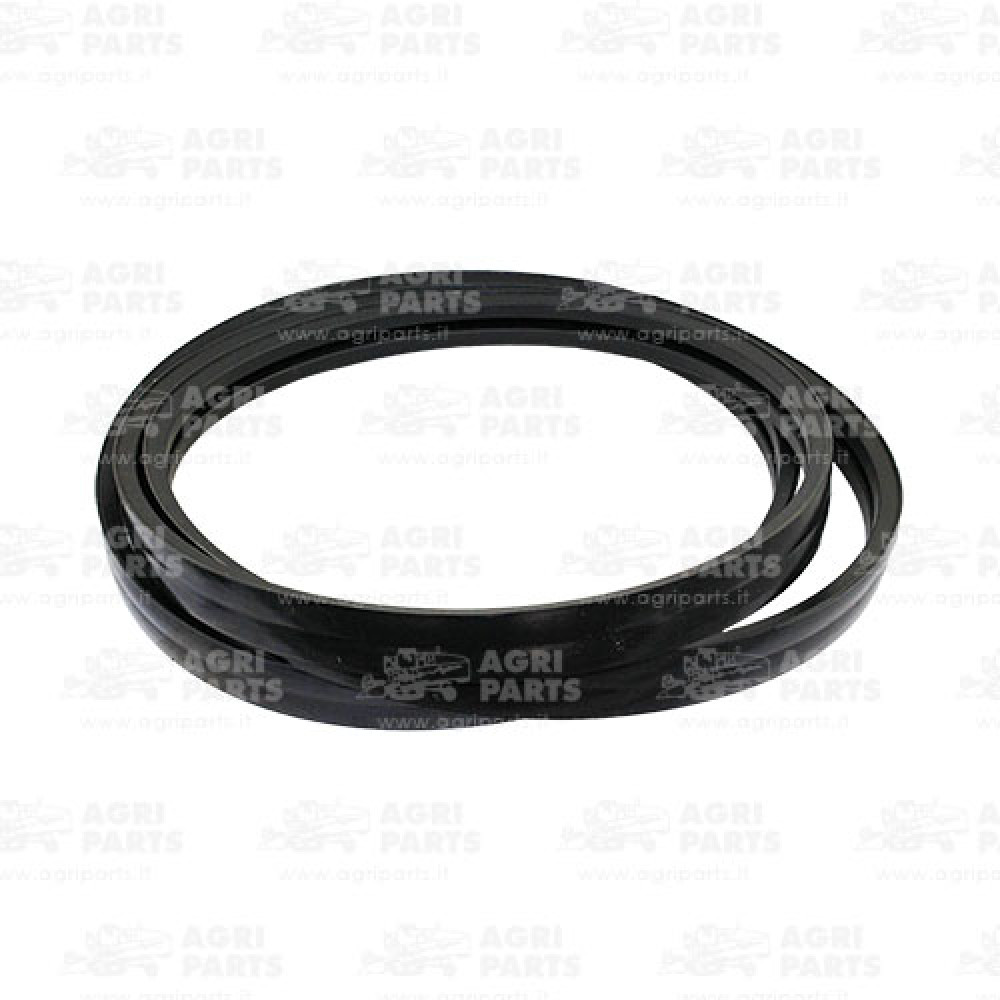 17AP000535 - CINGHIA - 17AP000535