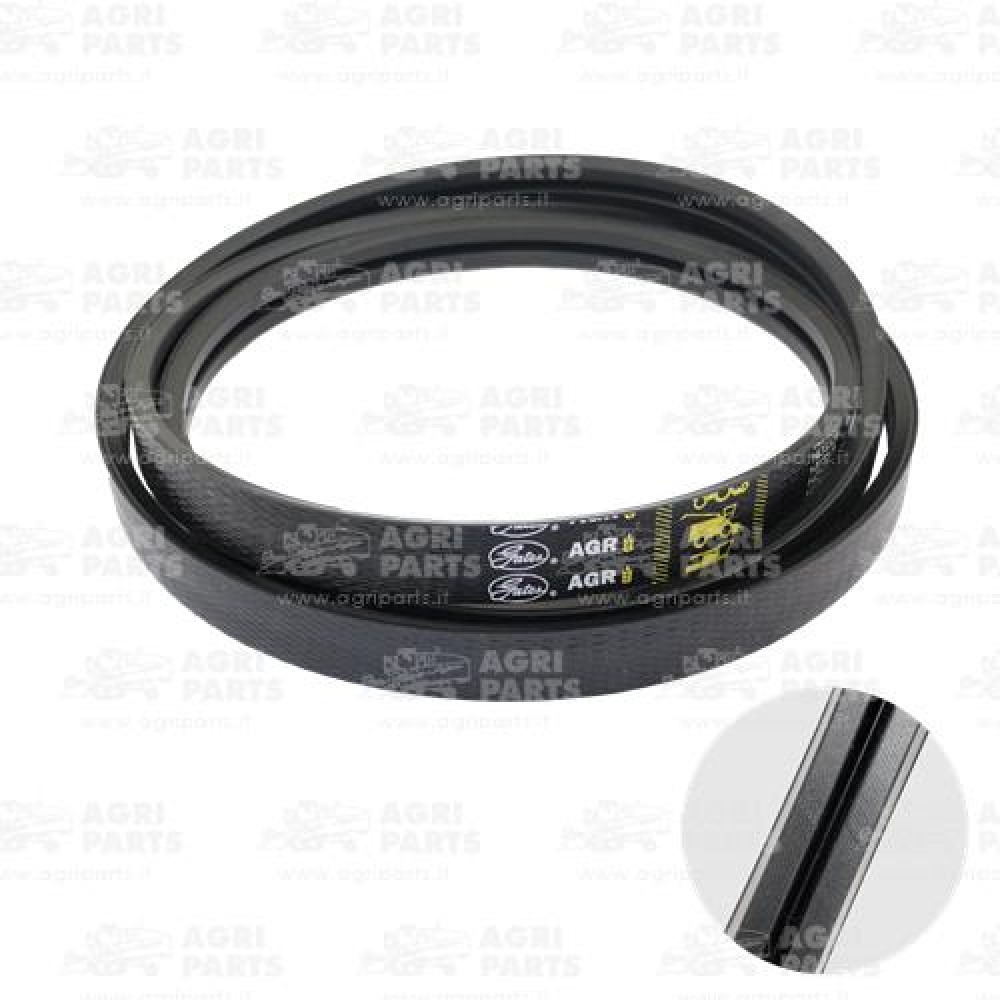 17AP000536 - RIEMEN - 17AP000536