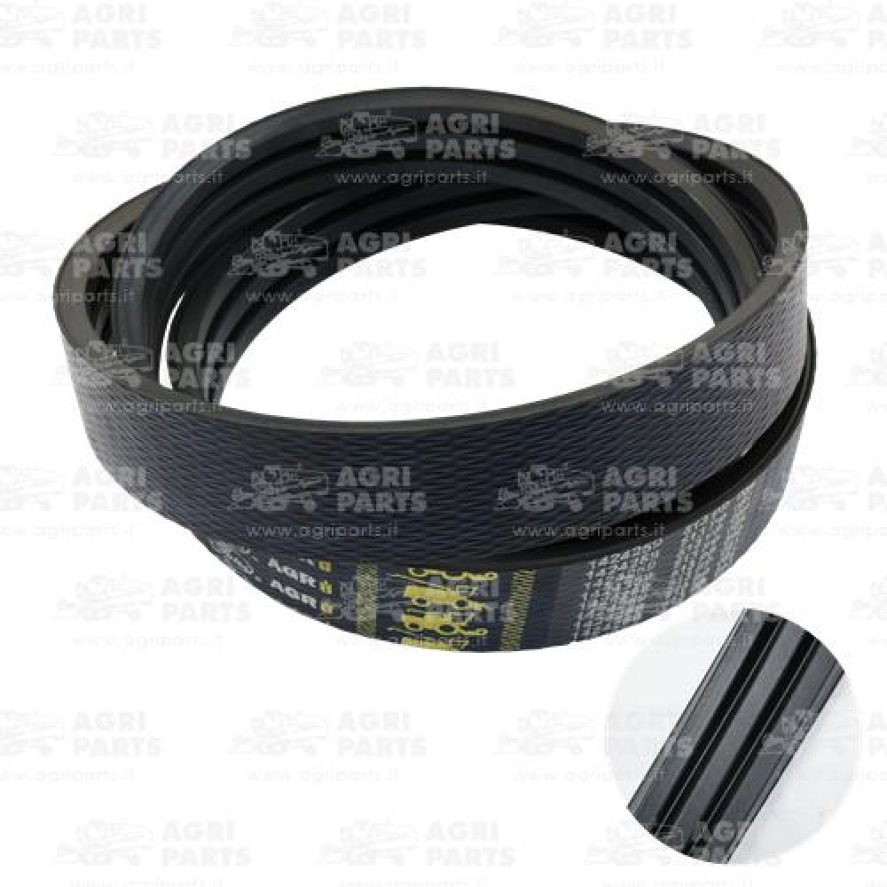 17AP000546 - RIEMEN - 17AP000546