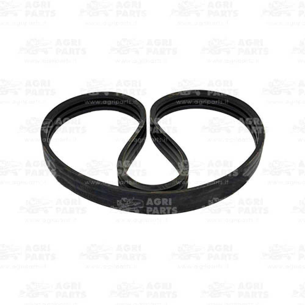 17AP000549 - CINGHIA MULTIPLA - 17AP000549