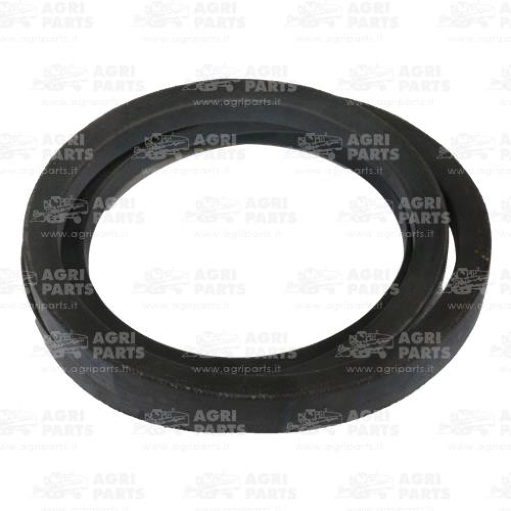 17AP000554 - BELT - 17AP000554