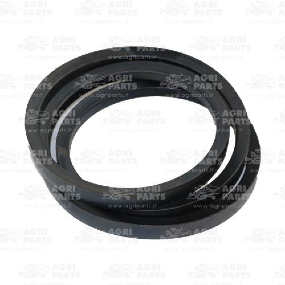 17AP000555 - CINGHIA - 17AP000555