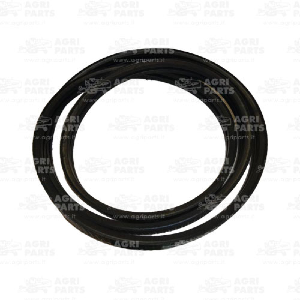 17AP000557 - CINGHIA - 17AP000557