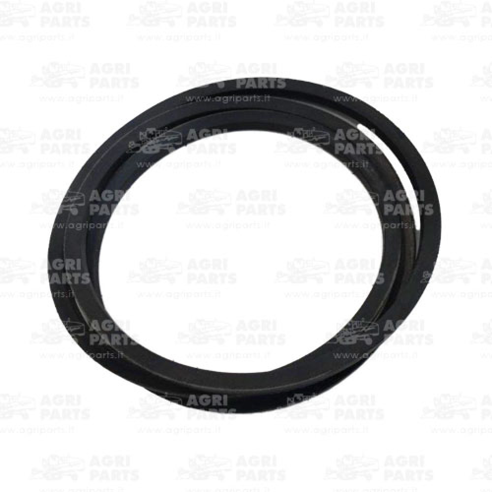 17AP000558 - RIEMEN - 17AP000558