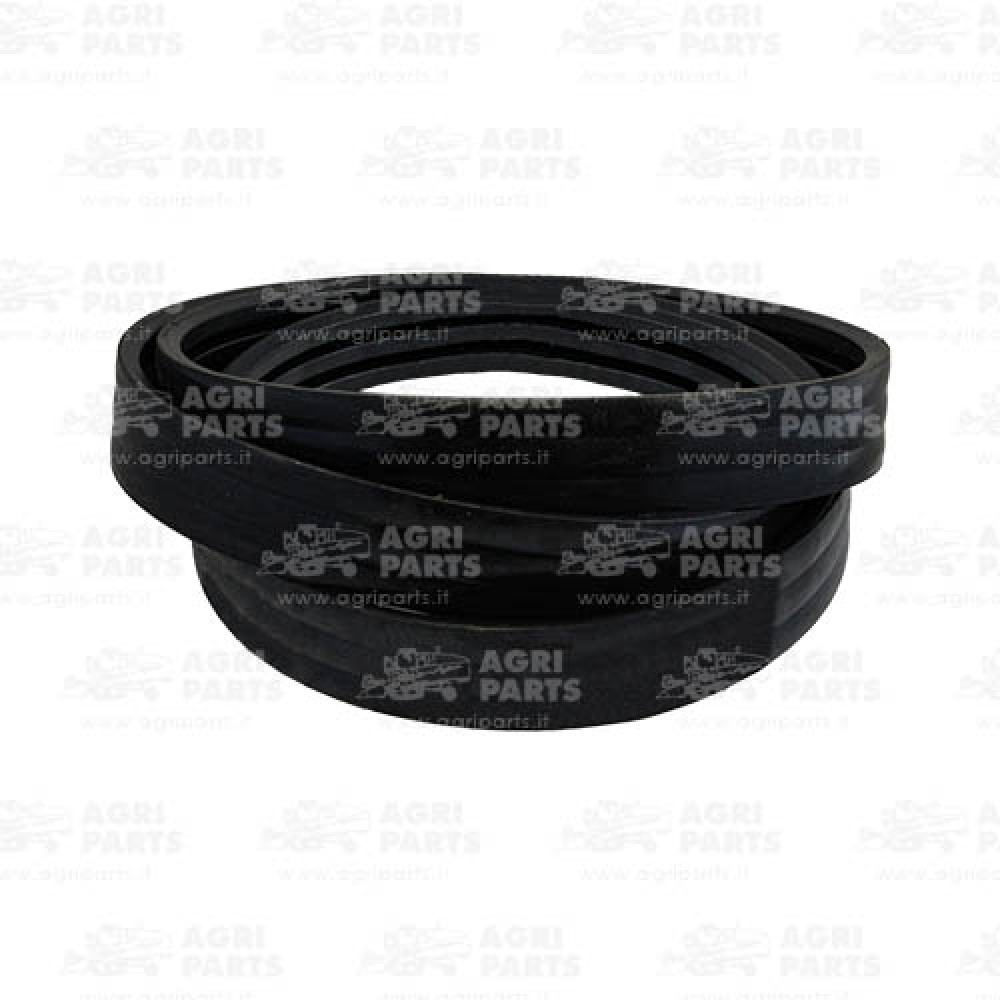 17AP000563 - MULTIPLE BELT - 17AP000563